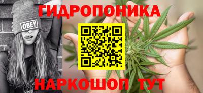 mdma Можга