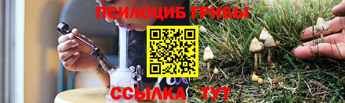 Галлюциногенные грибы мухоморы  Вход с VPN  Усть-Илимск 