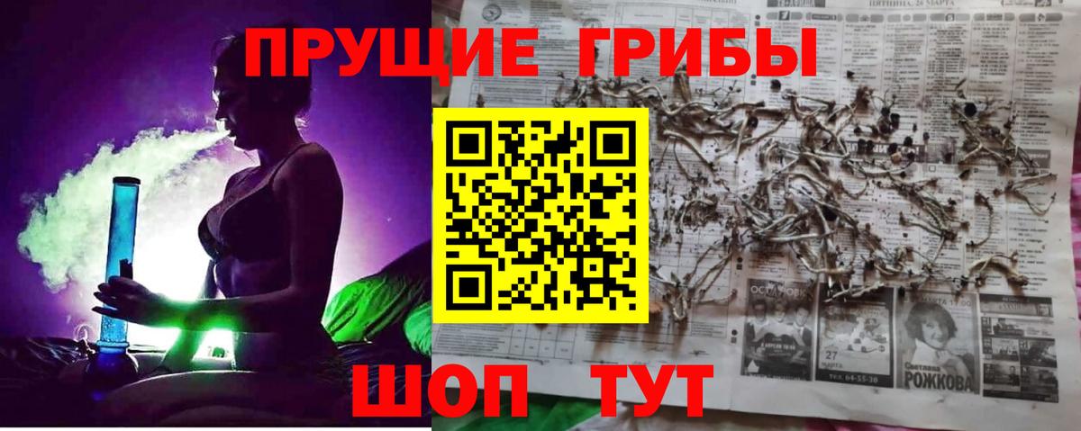 Галлюциногенные грибы Psilocybe Усть-Илимск